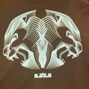 Lebron James - Nike DryFit